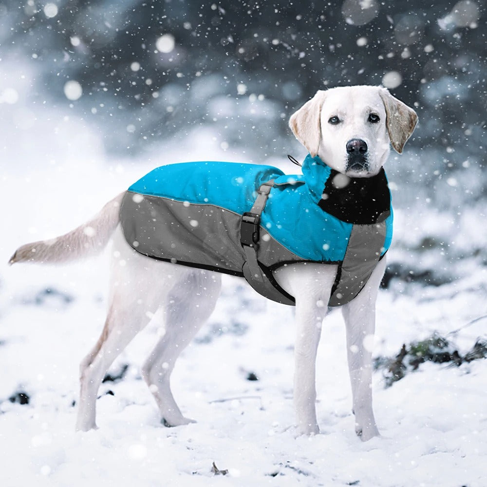 Wuffy - Waterdichte Winterjas voor Hond